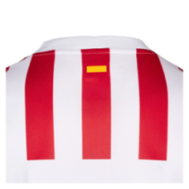 1ª EQUIPACION ATLETICO DE MADRID 25/26 Futbol Emotion - Feeberse