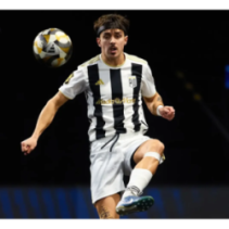 PROTECKTHOR B1 Proteckthor - Feeberse