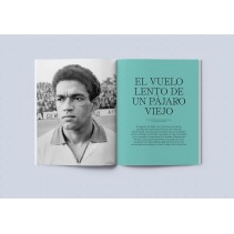 PANENKA 148 PANENKA - Feeberse